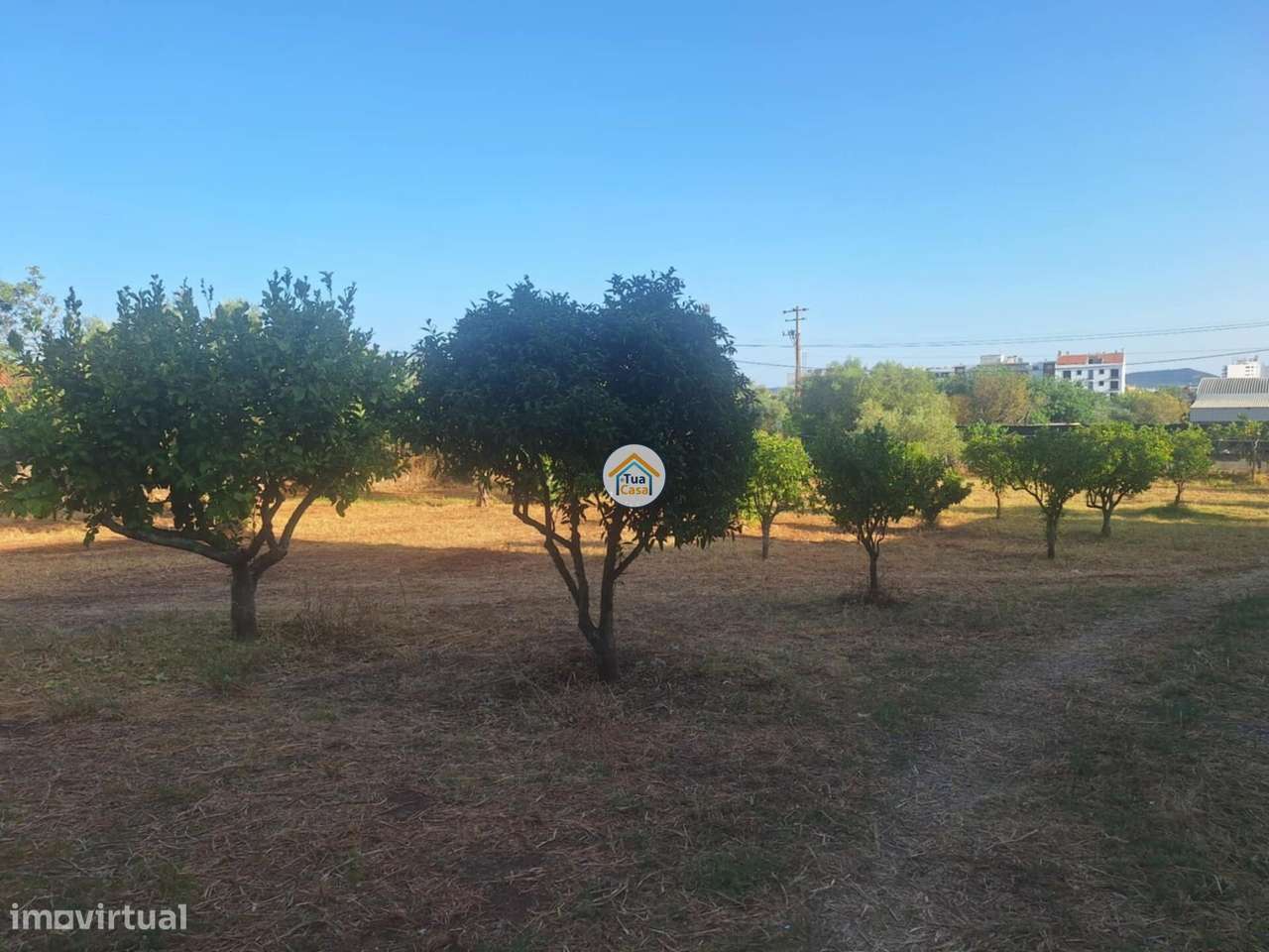 Excelente terreno com viabilidade de construção - Grande imagem: 5/15