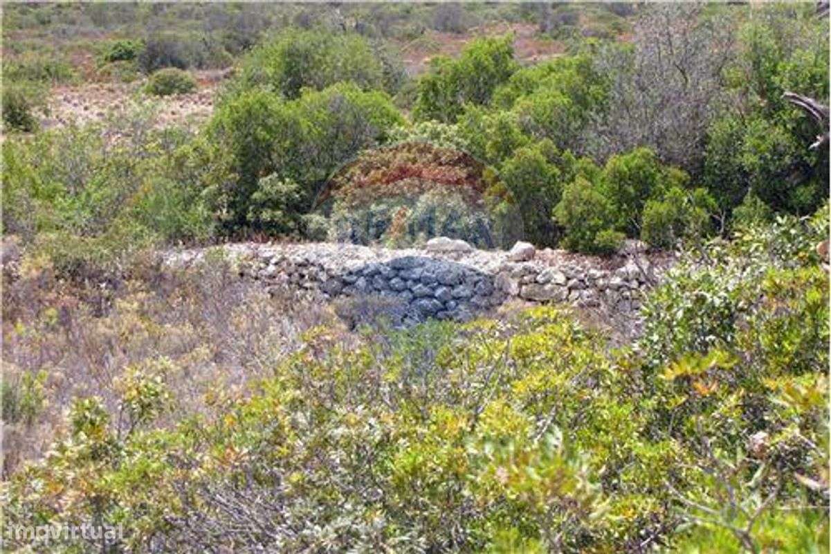 Terreno  para venda - Grande imagem: 5/6