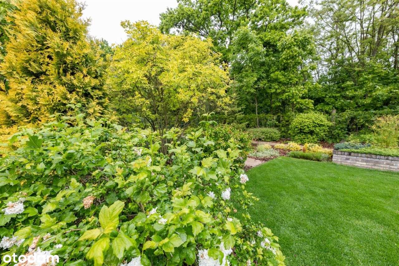 dom parterowy | duża działka | piękny ogród-5