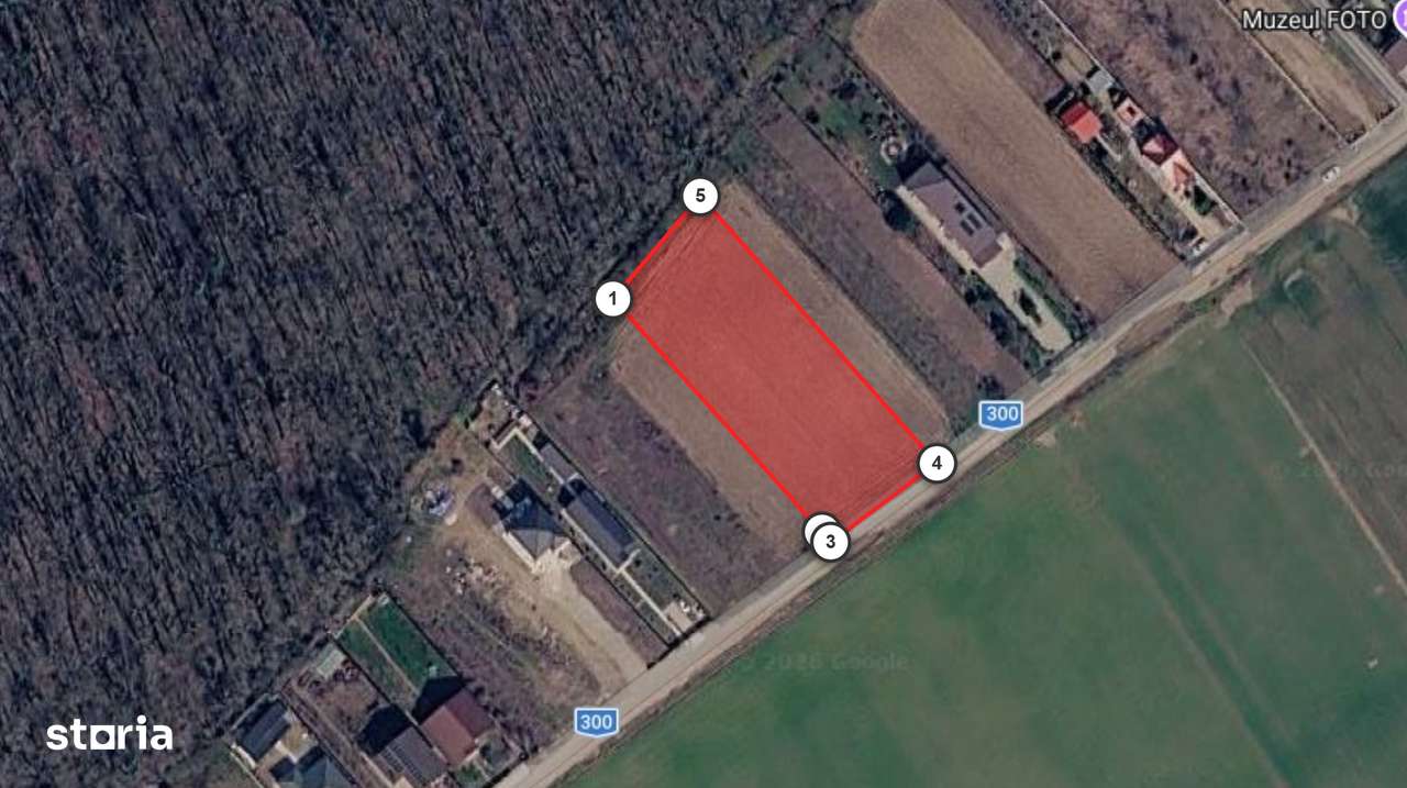 Teren intravilan Găneasa 2.805 mp, deschidere 33 ml,utilități la teren-5