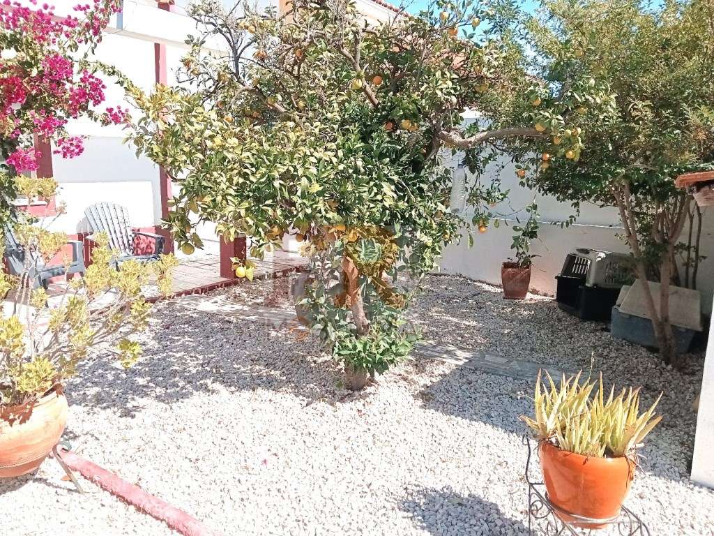 Moradia Isolada Duplex T6 Azeitão-38