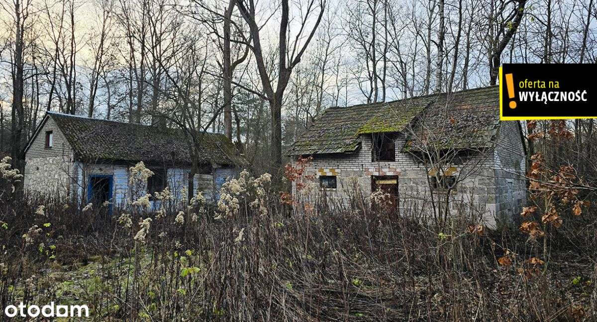 Siedlisko z własnym lasem i budynkami w Górnowoli - Pełny obrazek: 4/10