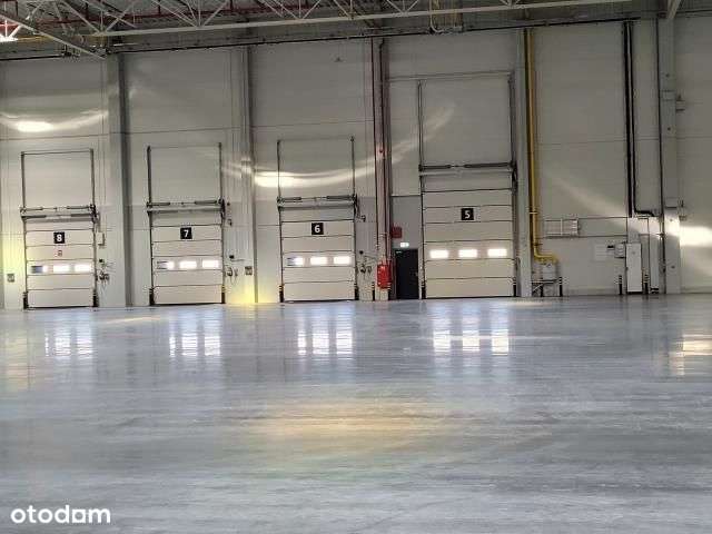 Nowoczesny magazyn na wynajem w Opolu - Pełny obrazek: 2/4