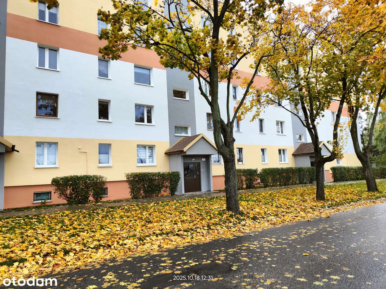 W pełni wyposażone M-3 na Chojnach-13