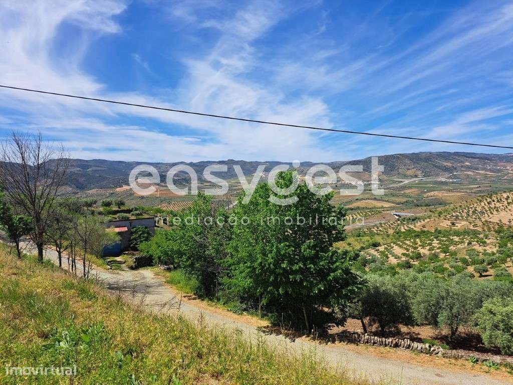 Moradia para recuperar na aldeia de Nozelos, Torre de Moncorvo. - Grande imagem: 5/17