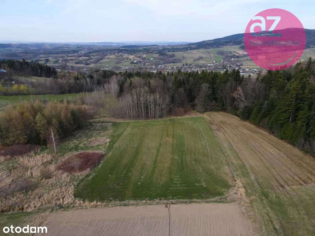 Działka rolna 36ar z możliwością przekształcenia-5
