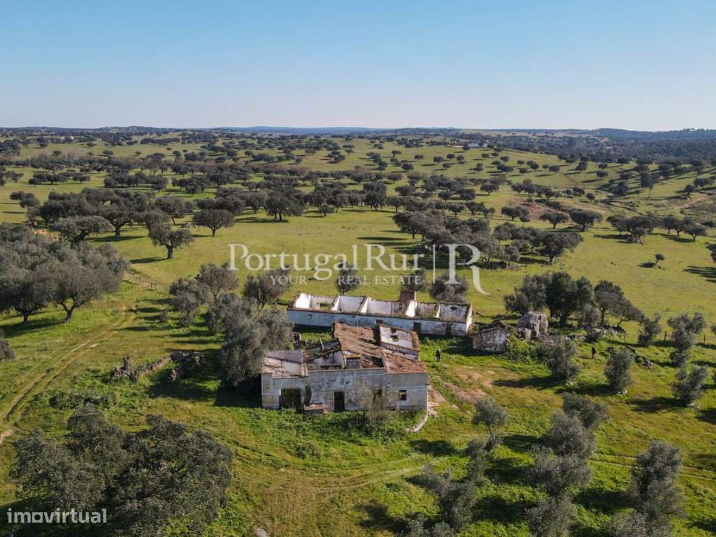Herdade de 18 hectares perto de Estremoz - Grande imagem: 3/34