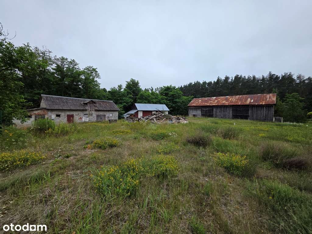 Zabytkowy Młyn, budynki gospodarcze, rzeka, las-8