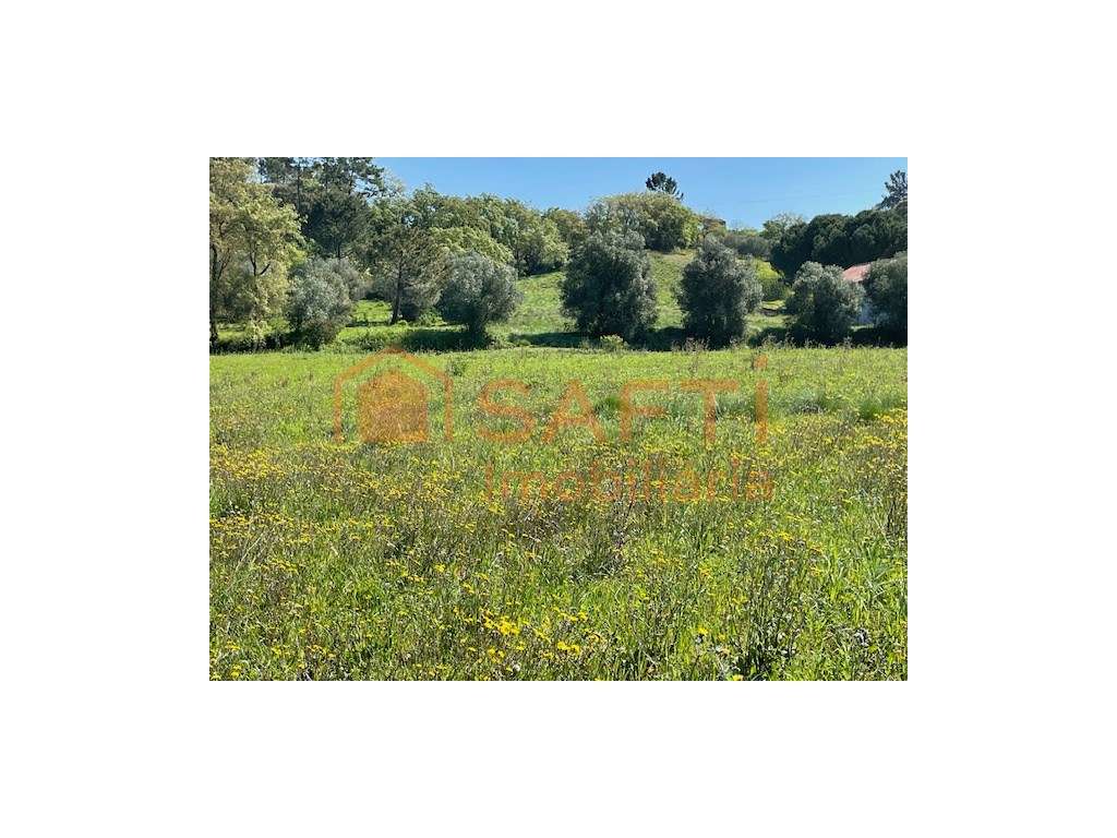 Terreno com 13080m2 rústico - Grande imagem: 2/14