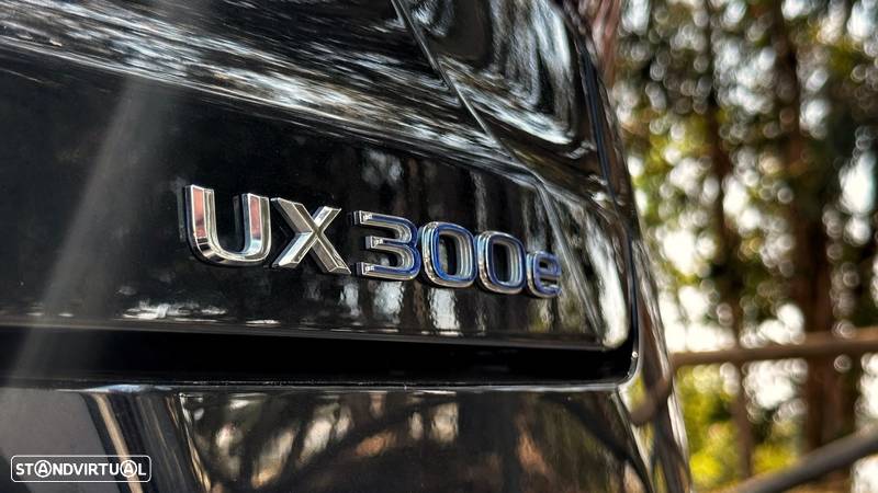 Lexus UX 300e Luxury+TAE+JLL18 - 19