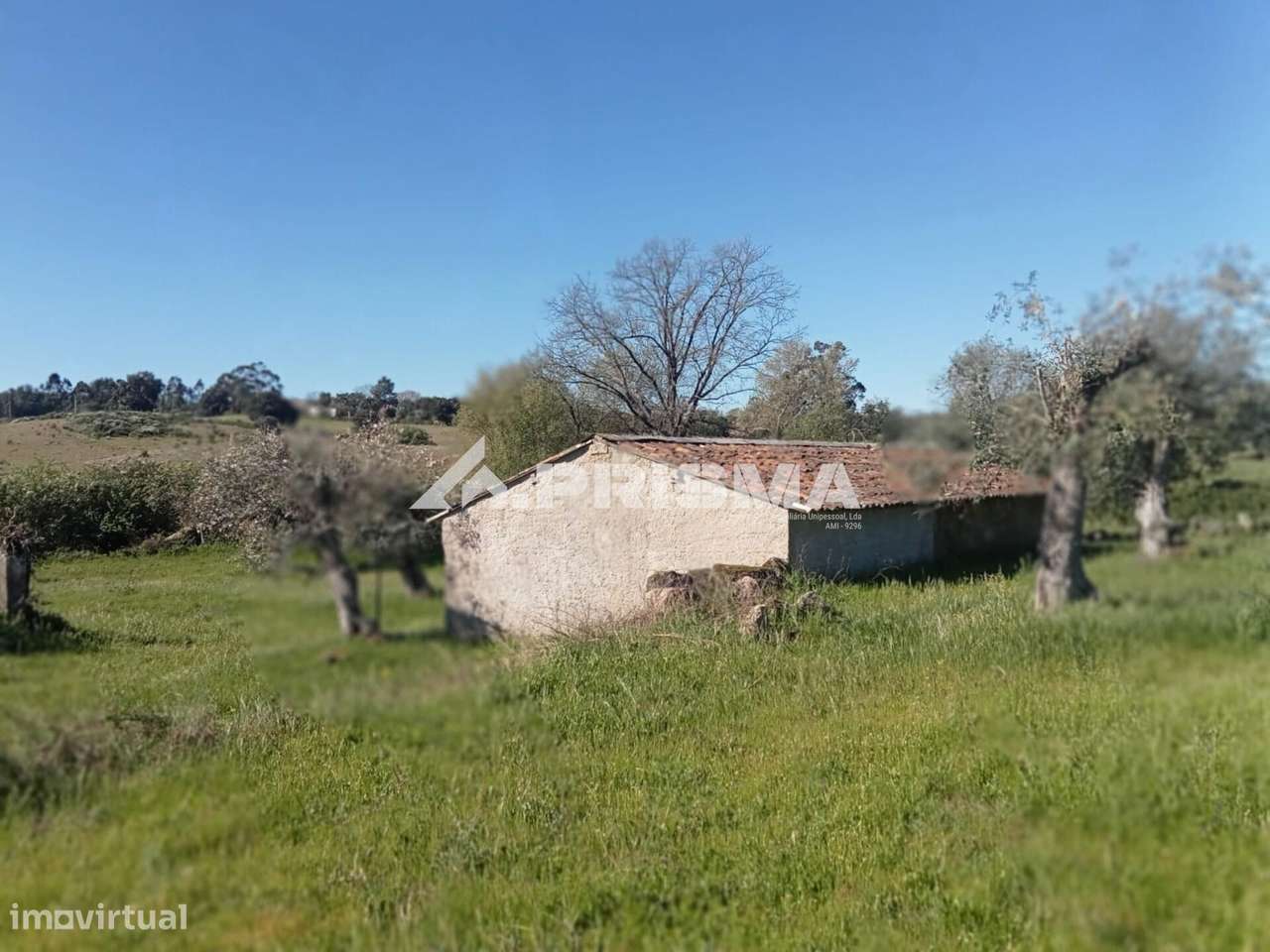 Quintinha para venda em Tinalhas, Castelo Branco-9