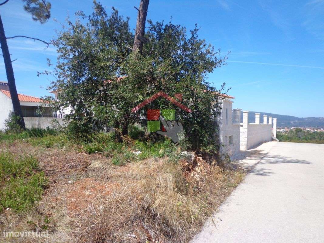 Terreno Rústico T0 Venda em Chancelaria,Torres Novas-8