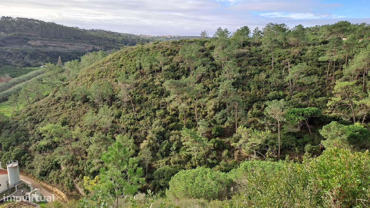 Terreno Rústico em Fonte Boa da Brincosa, Carvoeira -  Mafra - Grande imagem: 2/9