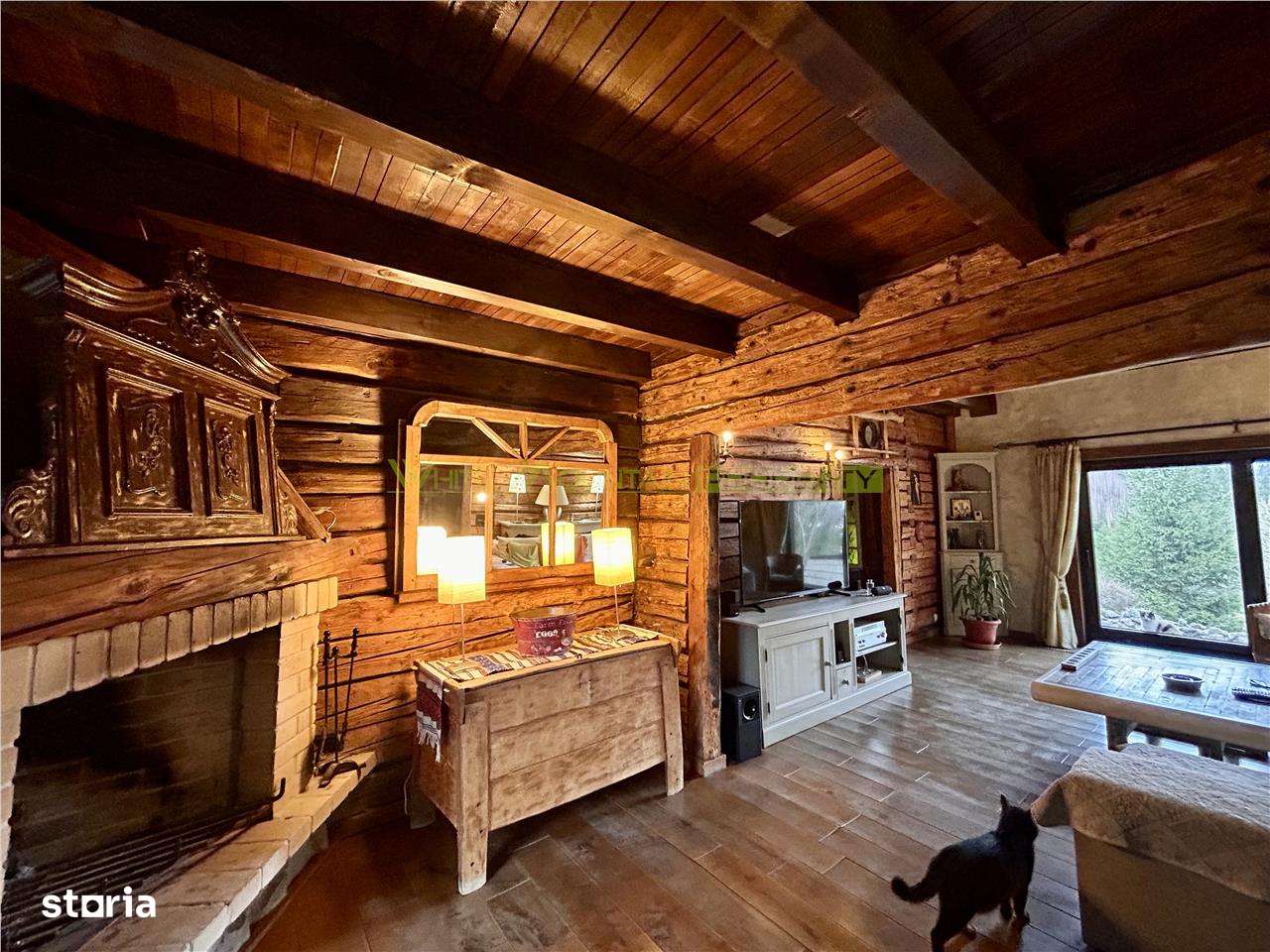 Raritate| Teren de vis de  6 ha de vanzare in Pestera Brasov - Imagine principală: 5/20