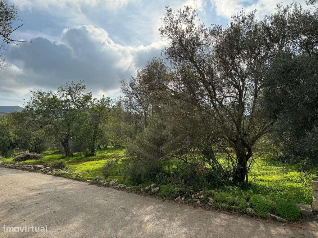 Lote urbano para construção de moradia, São Brás de Alportel, Algarve - Grande imagem: 2/21