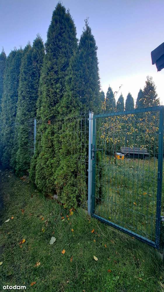 Mieszkanie na 1 piętrze z przydomowym ogródkiem-9