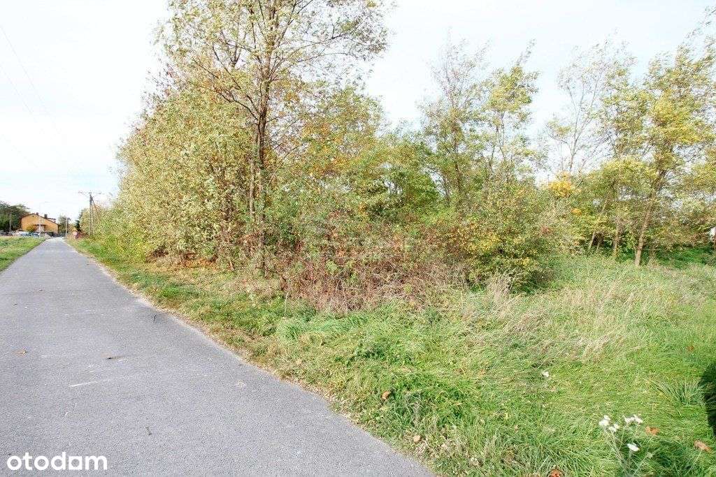 Działka budowlano- usługowa Wilczyn, gm. Grębocice - Pełny obrazek: 4/7