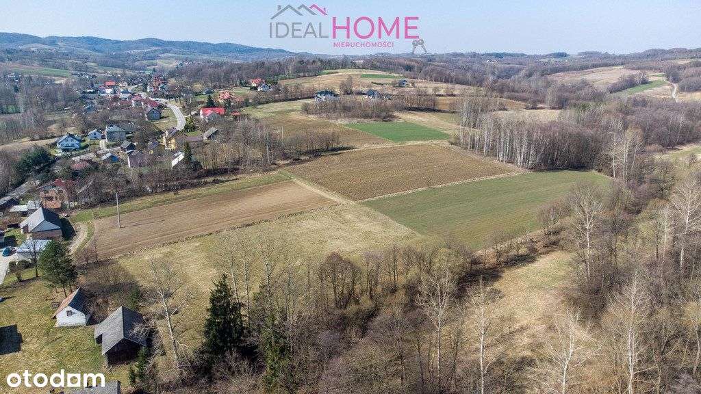 Dom z dużą działką - Błażkowa - Pełny obrazek: 5/20