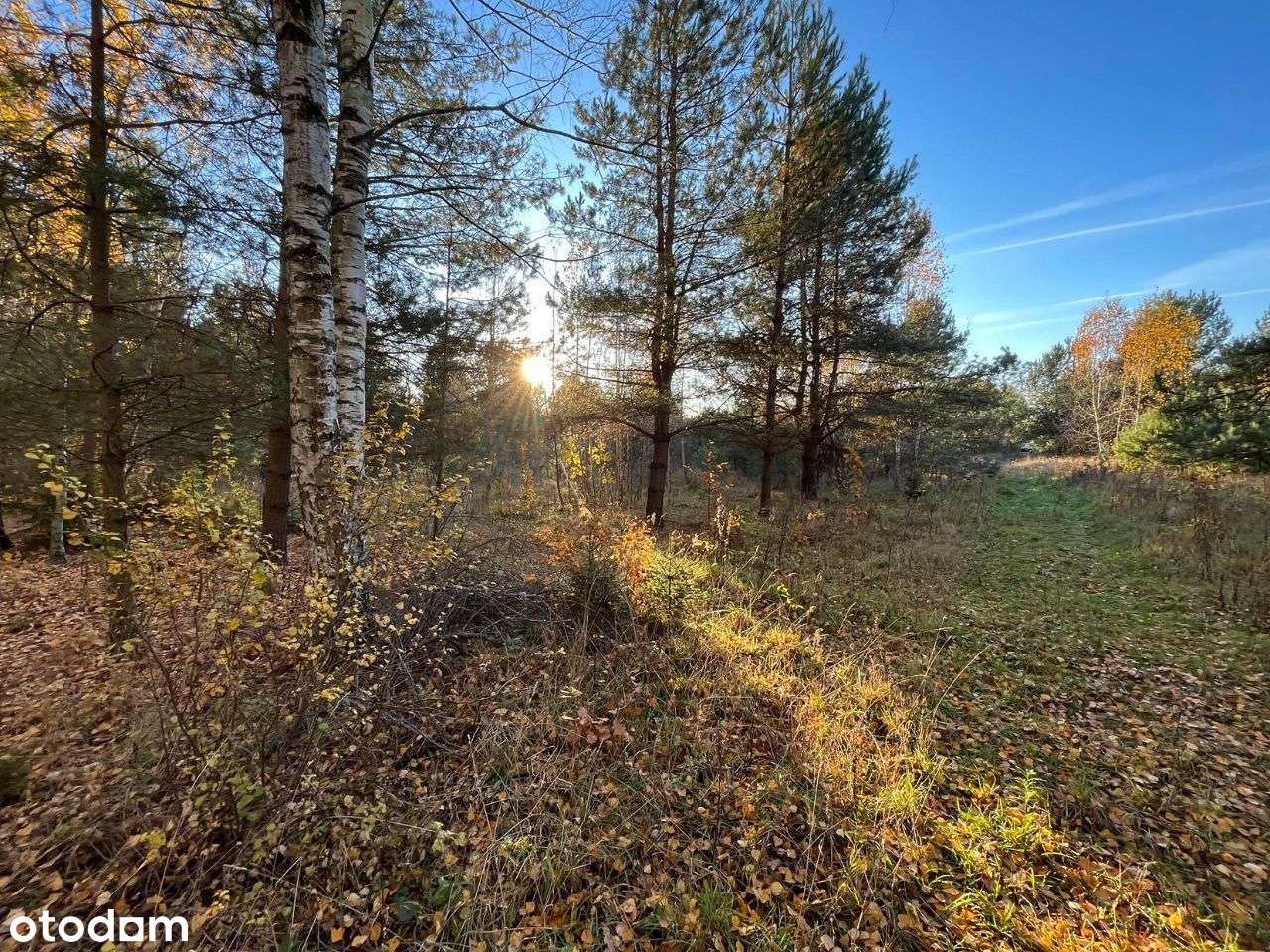 Działki budowlane przy Puszczy Białowieskiej! #2 - Pełny obrazek: 5/16