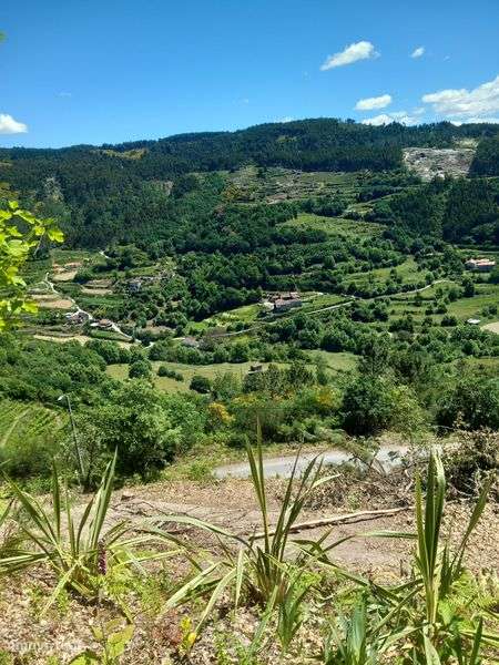 terreno com casa em ruina, Infesta, celorico da basto - Grande imagem: 4/8