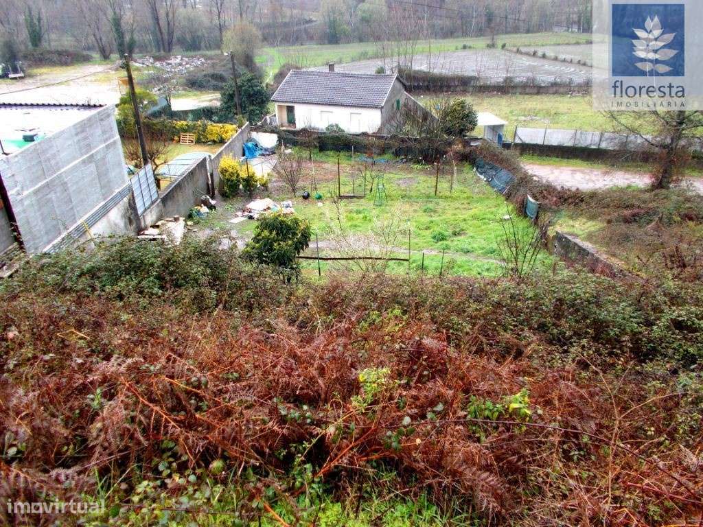 Vende-se Lote p/construção - Lago - Grande imagem: 4/8