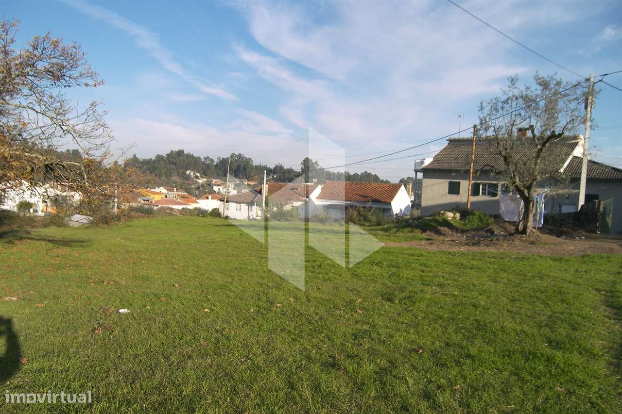 Terreno Para Construção  Venda em São Miguel do Outeiro e Sabugosa,Ton - Grande imagem: 5/11