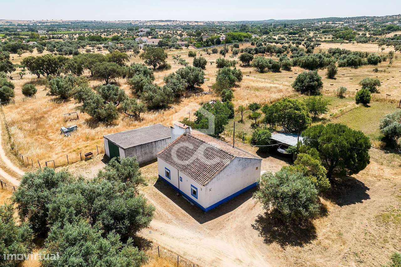 Quinta com Moradia, Olival e Excelente Localização | Próxima de Évora - Grande imagem: 4/60