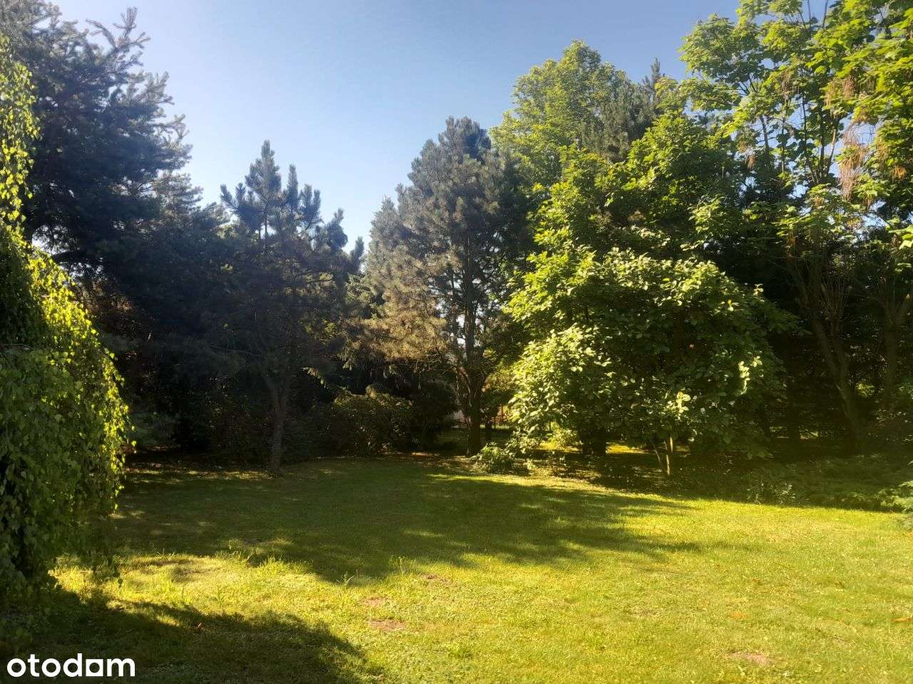 Atrakcyjna działka-3