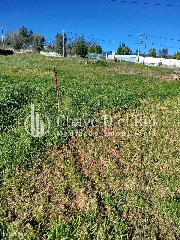 Quintinha T3 Venda em Espinho,Mangualde-31