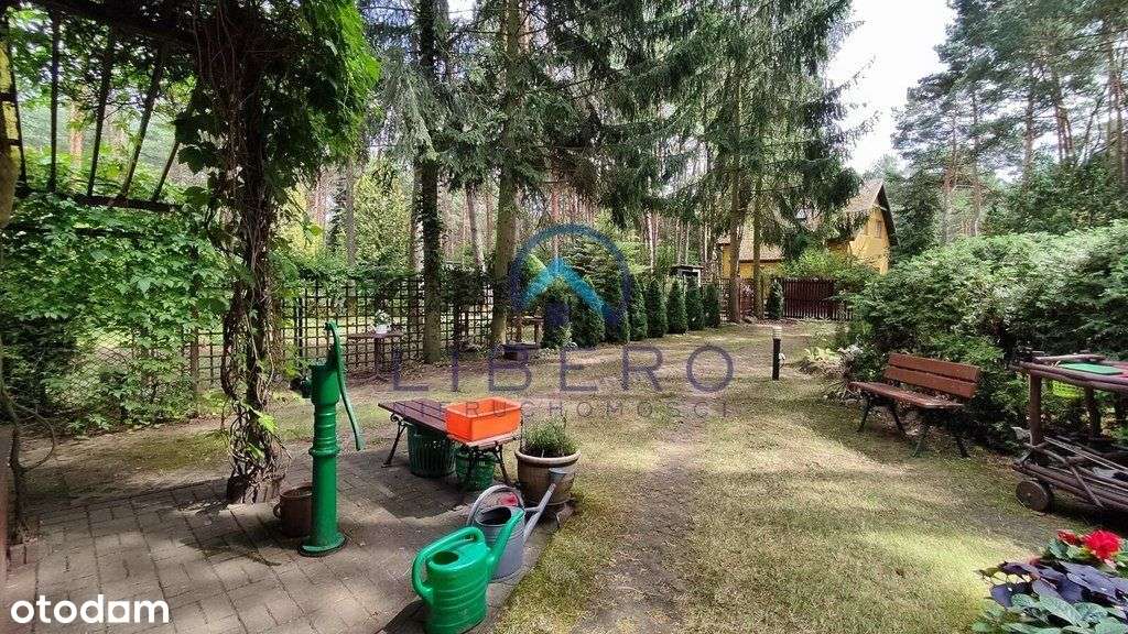 Zadbana nieruchomość rekreacyjna blisko Narwi-7