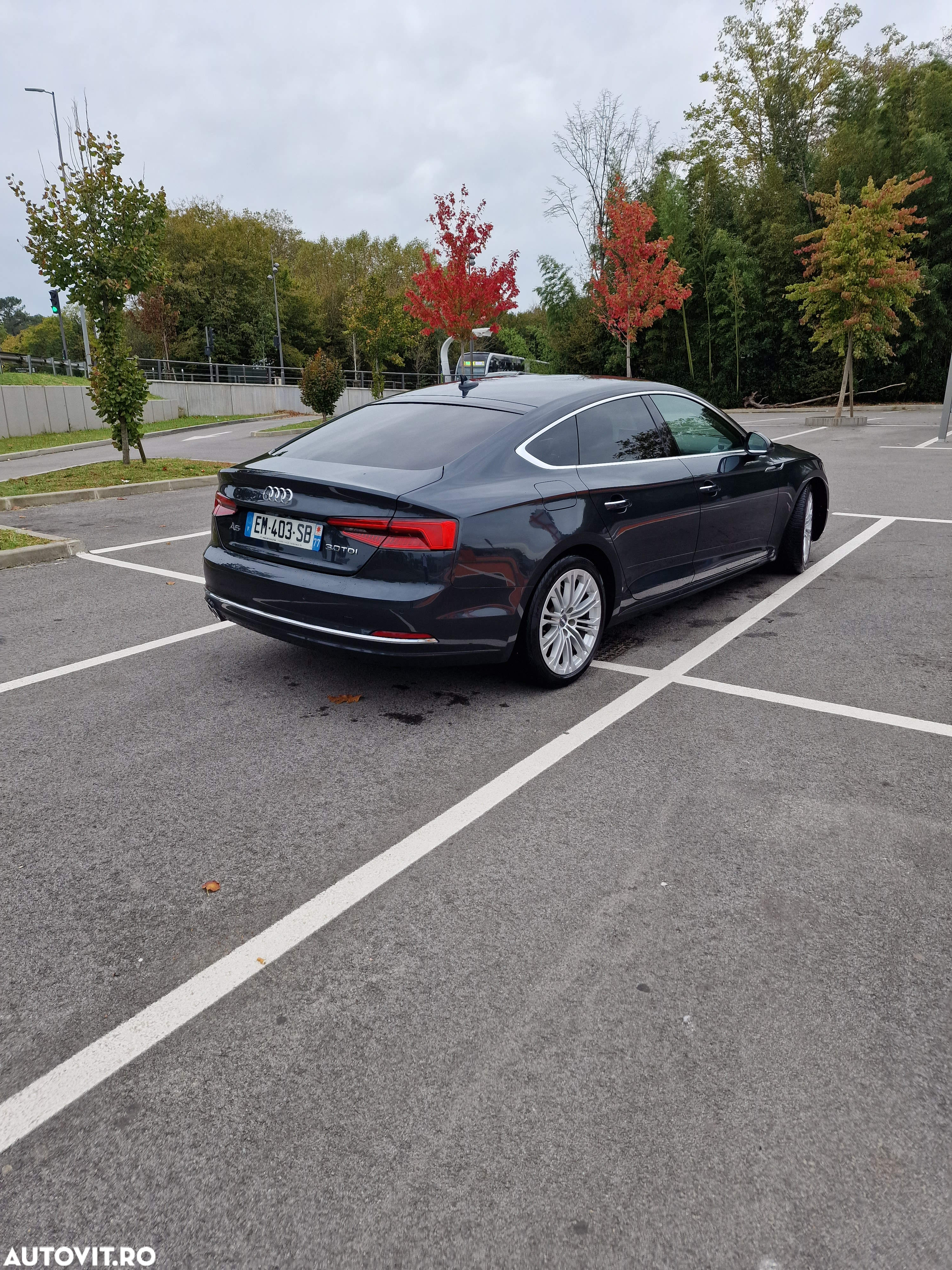 Audi A5 Sportback 3.0 TDI S tronic - 5