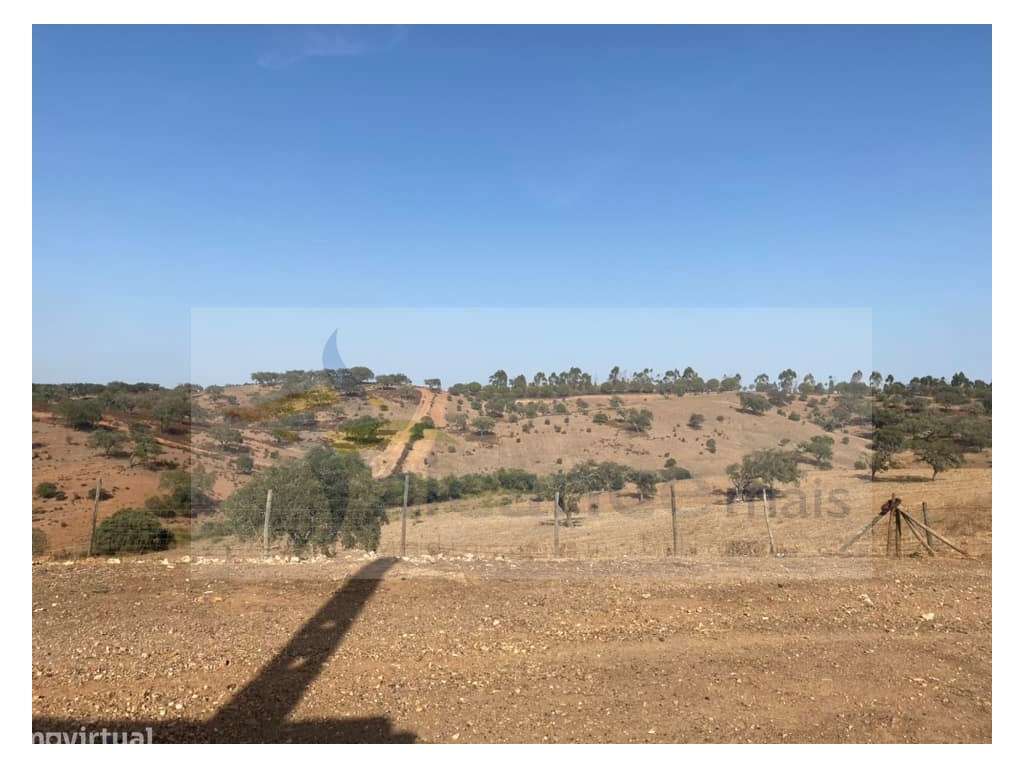 Propriedade de 35 ha - com Monte em Ruínas em Serpa-8