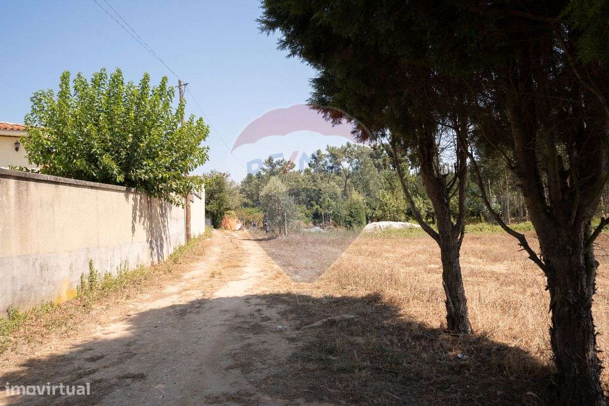 Terreno  para venda - Grande imagem: 4/16