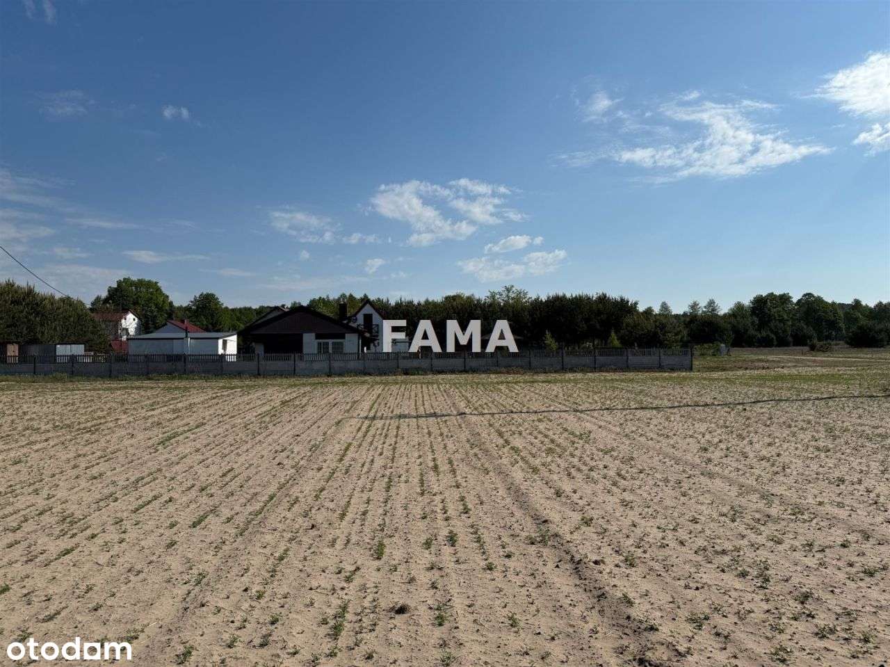 Działka budowlano-rekreacyjna, nad jeziorem - Pełny obrazek: 4/4
