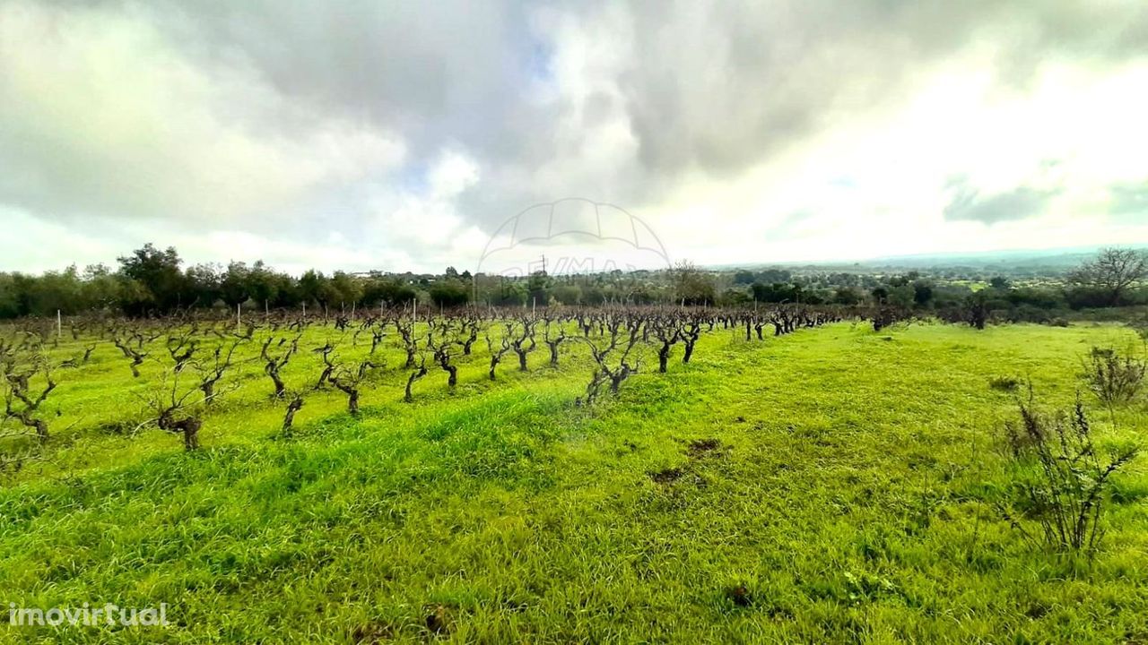 Terreno  para venda