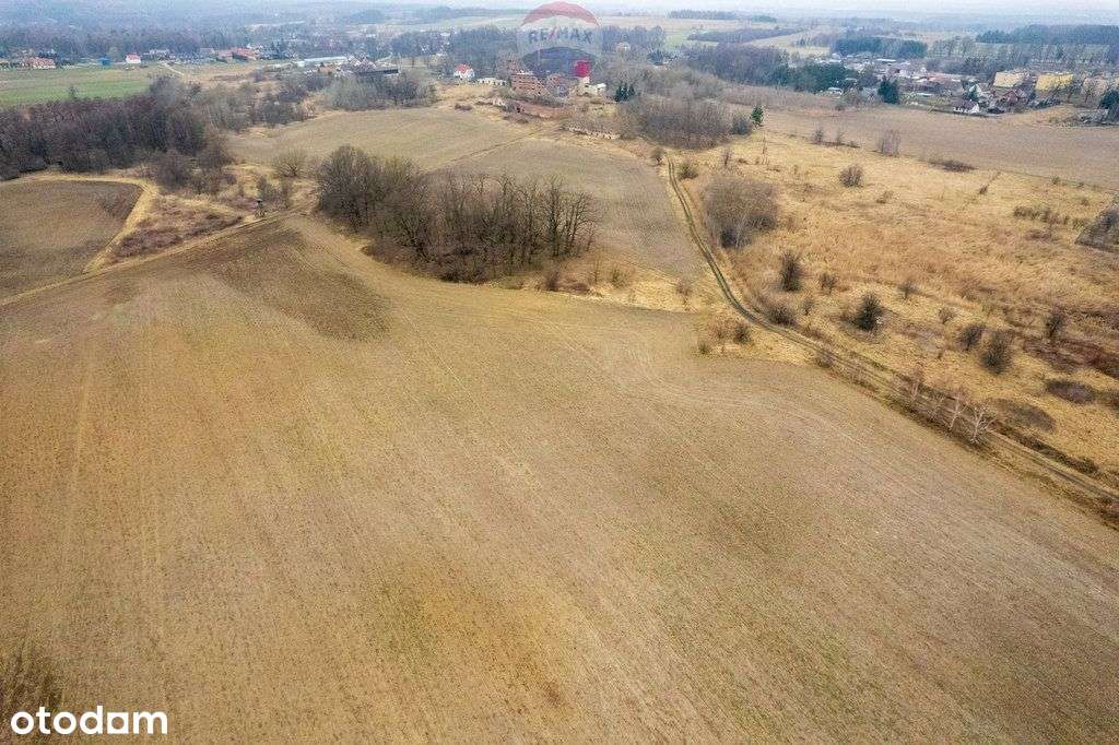 Działka rolna | Grabowno Wielkie| Twardogóra - Pełny obrazek: 4/10