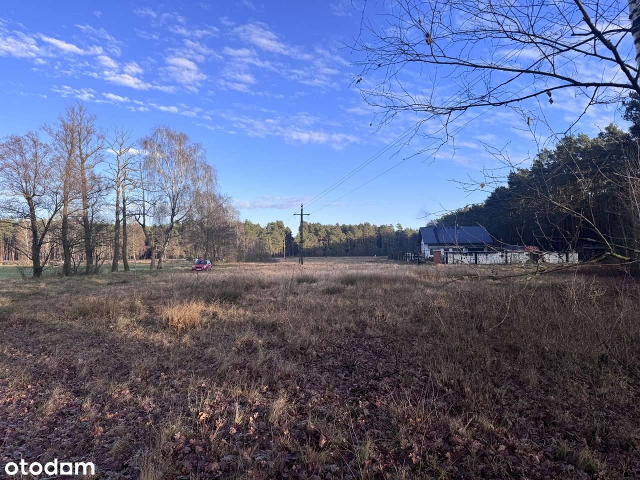 Działka w spokojnej okolicy lasu - Pełny obrazek: 3/5