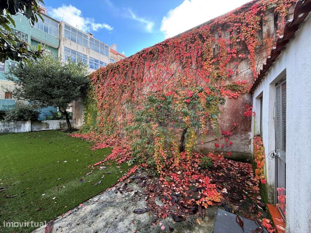 Apartamento T3 totalmente remodelado em RC alto e Logradouro com ce... - Grande imagem: 2/27