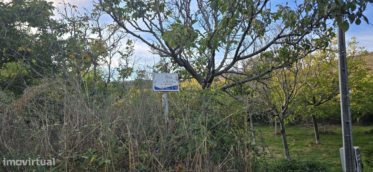 Terreno de produção agrícola em Gestaçô, Baião - Grande imagem: 5/6