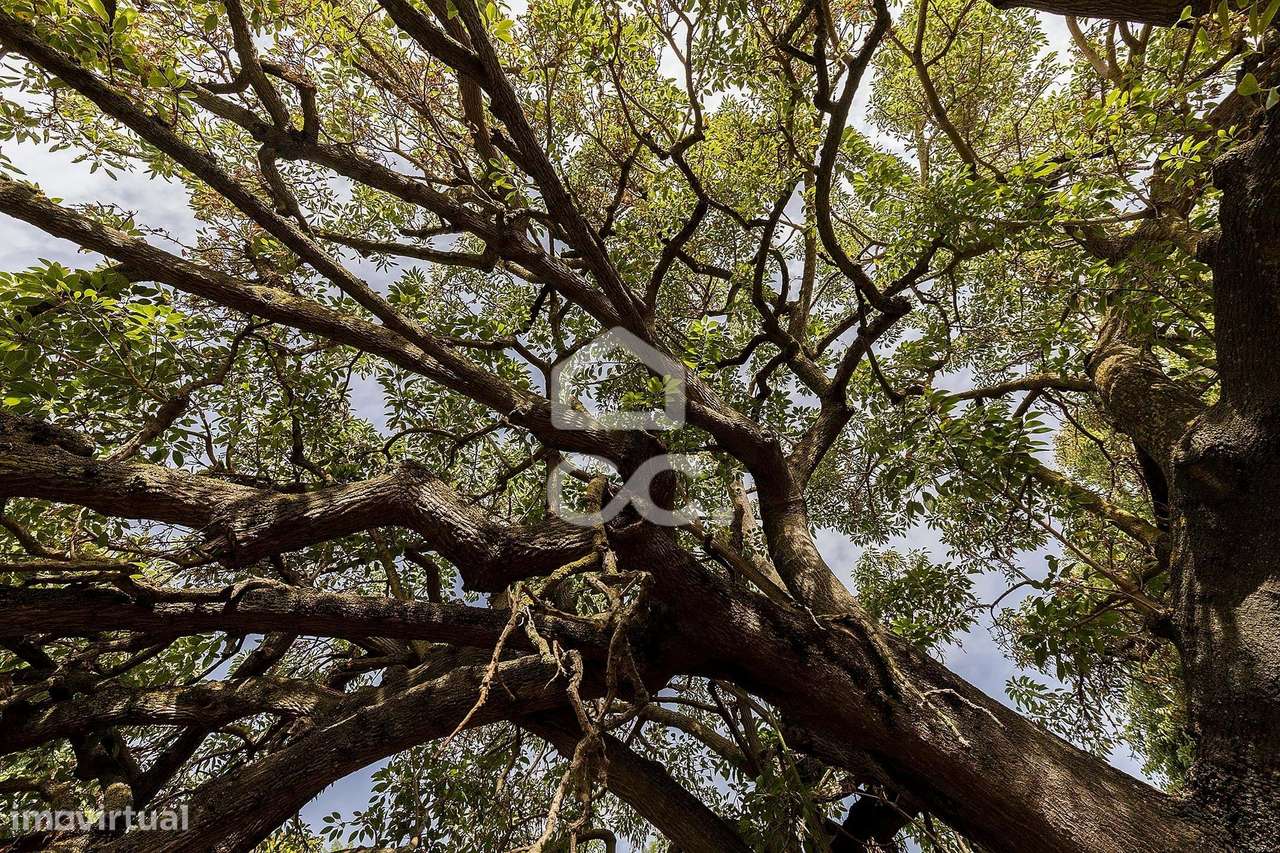 Apartamento T3 c/ Varanda | Condomínio JABA, Barreiro-52