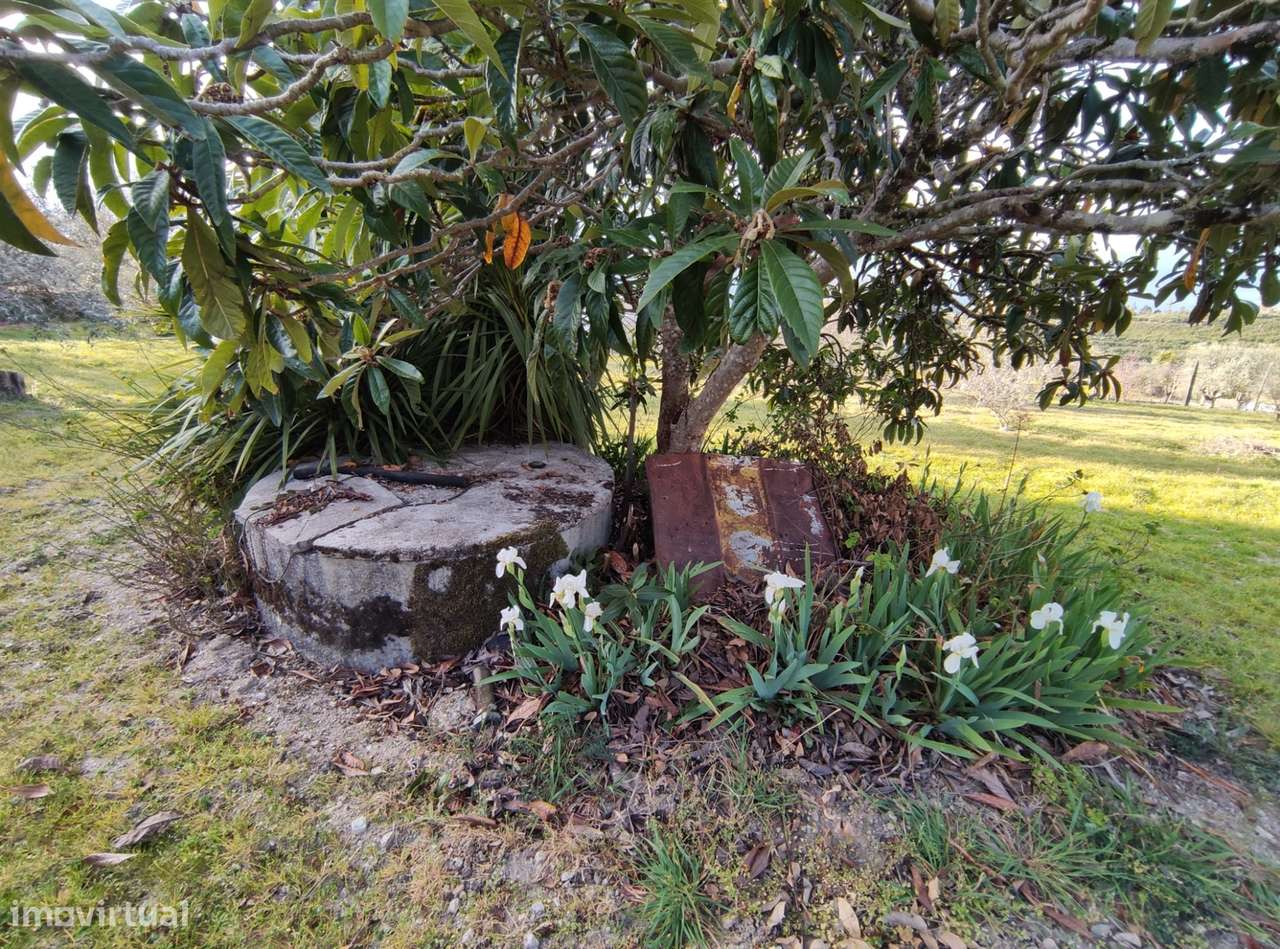 Moradia Isolada T3 Venda em Figueiró da Serra e Freixo da Serra,Gouvei-10