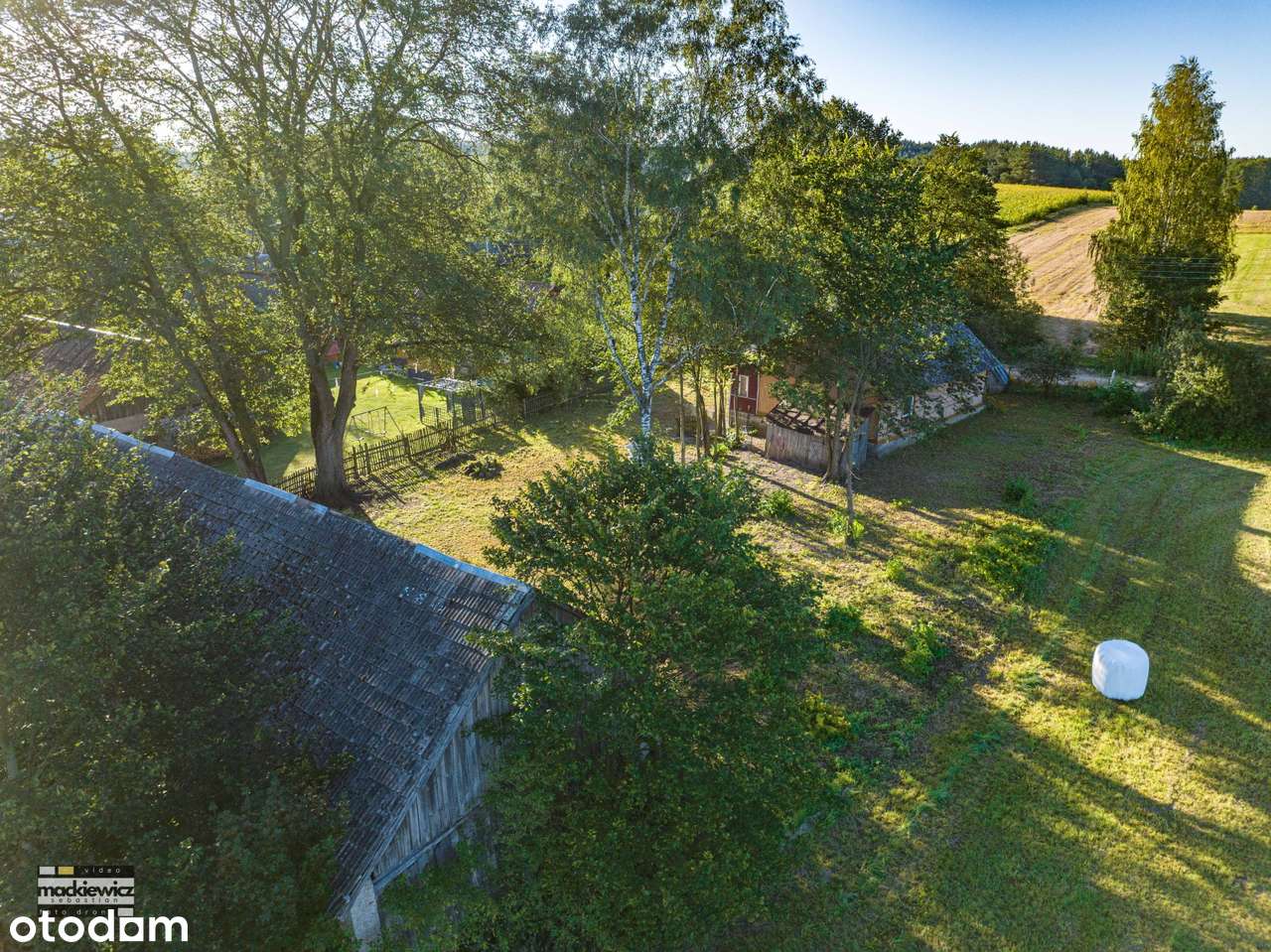 Siedlisko w miejscowości Cimanie, gmina Kuźnica Białostocka-6