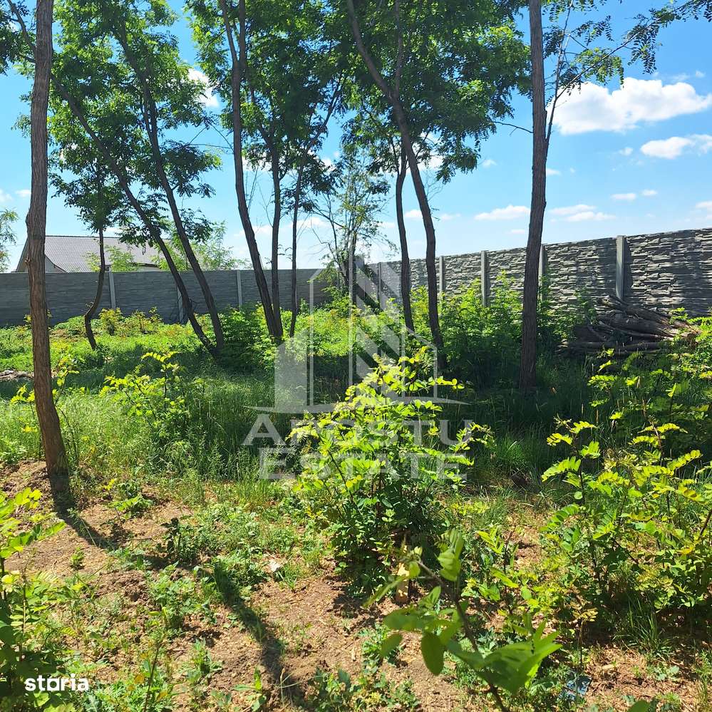 Duplex in Bucovat - Imagine principală: 4/16