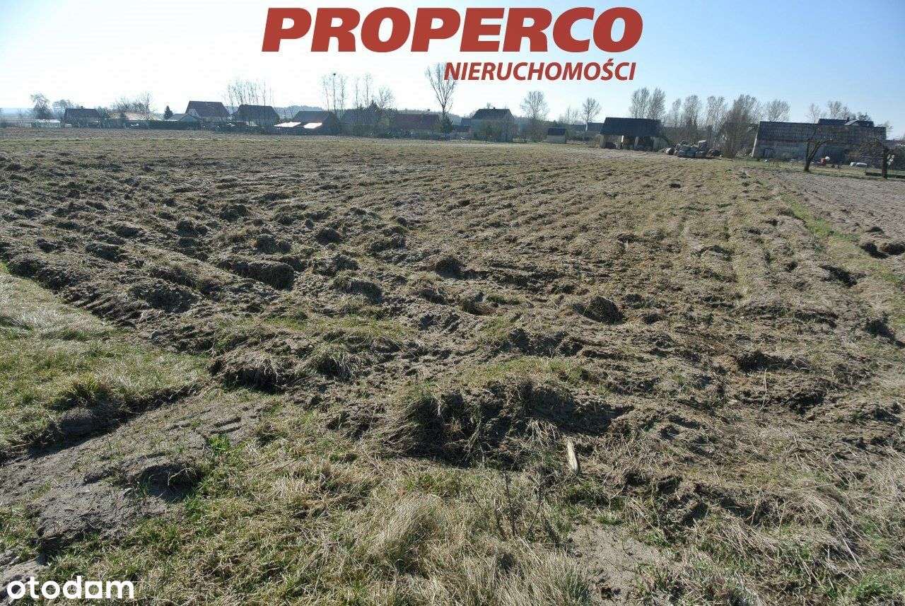 Działka 7900m2, Rębów, Kije. - Pełny obrazek: 5/7