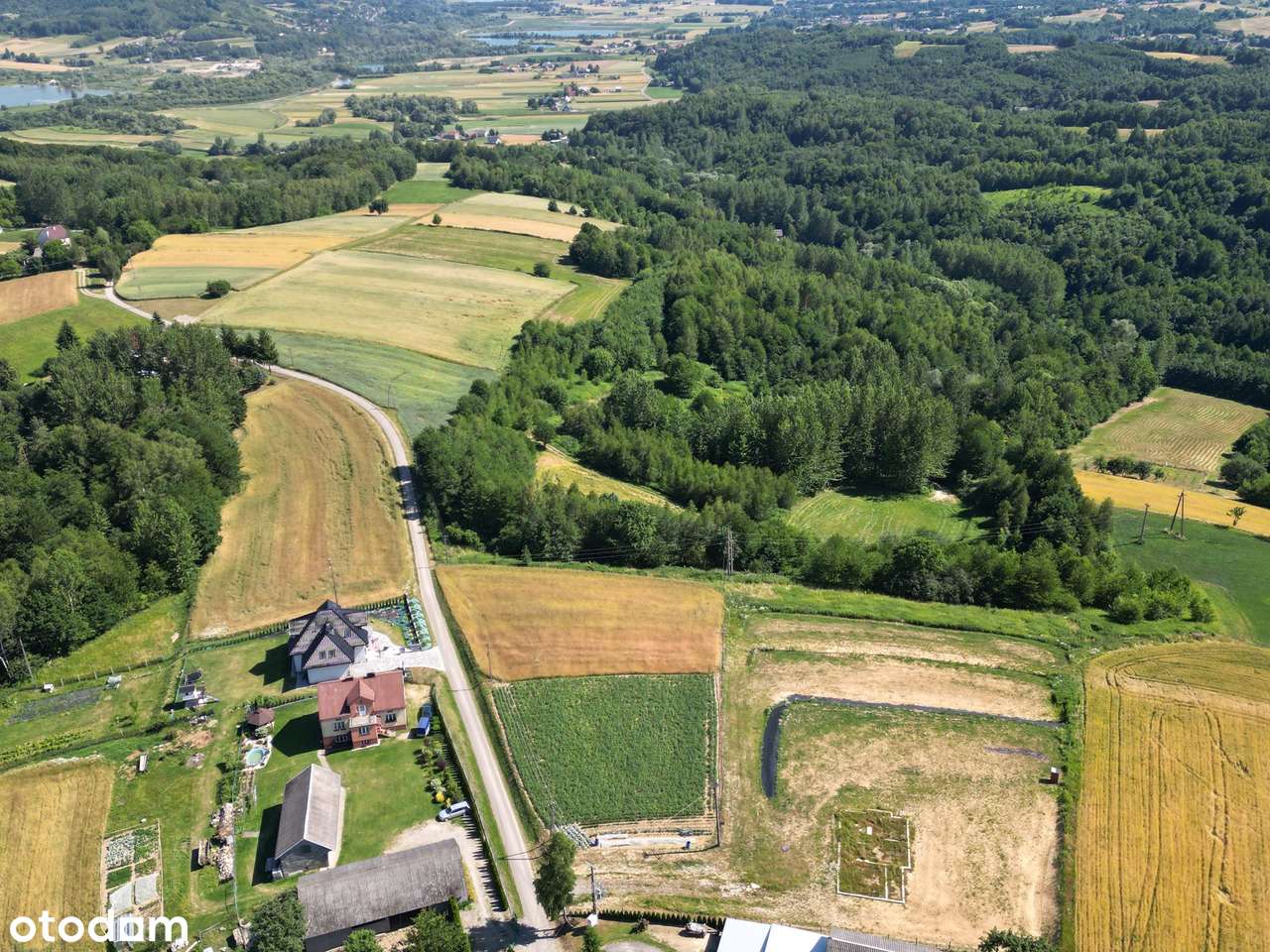 Widokowa działka 4600m2 - Skurowa - Pełny obrazek: 5/6