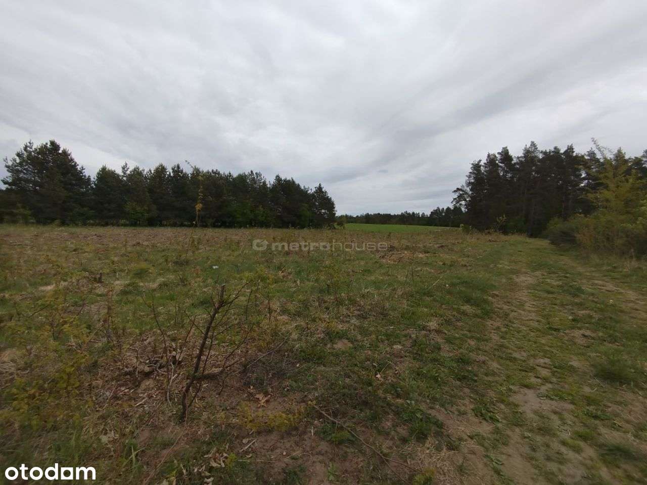 Działka bud., 12880m²,Dębnica Kaszubska - Pełny obrazek: 5/9