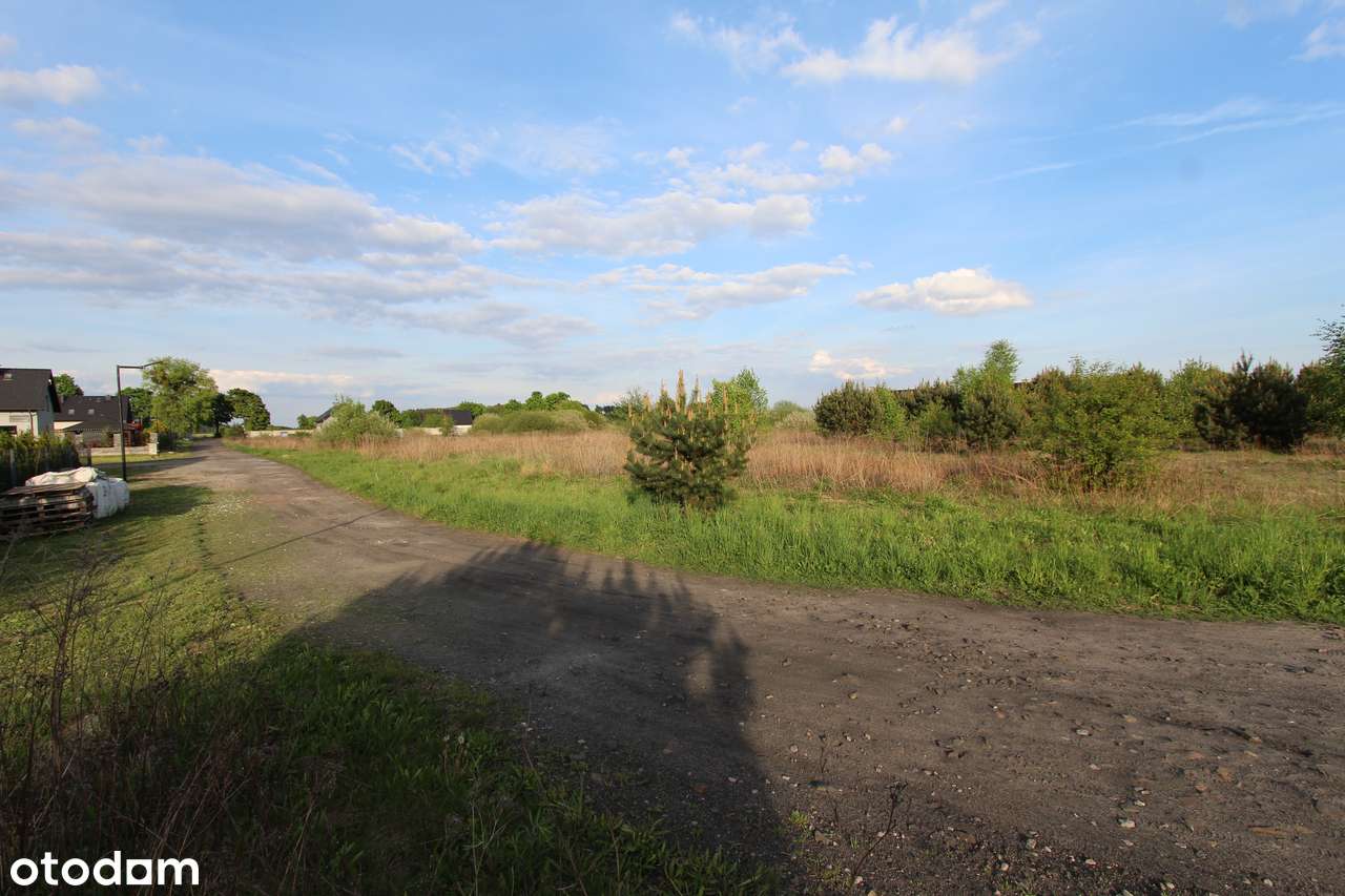 DZIAŁKA 4669 m2 Biała/Trzcianka - Pełny obrazek: 5/6