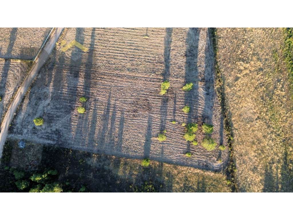 Terreno rústico com 18.080m2, para venda, em Freixial do Campo. - Grande imagem: 4/10