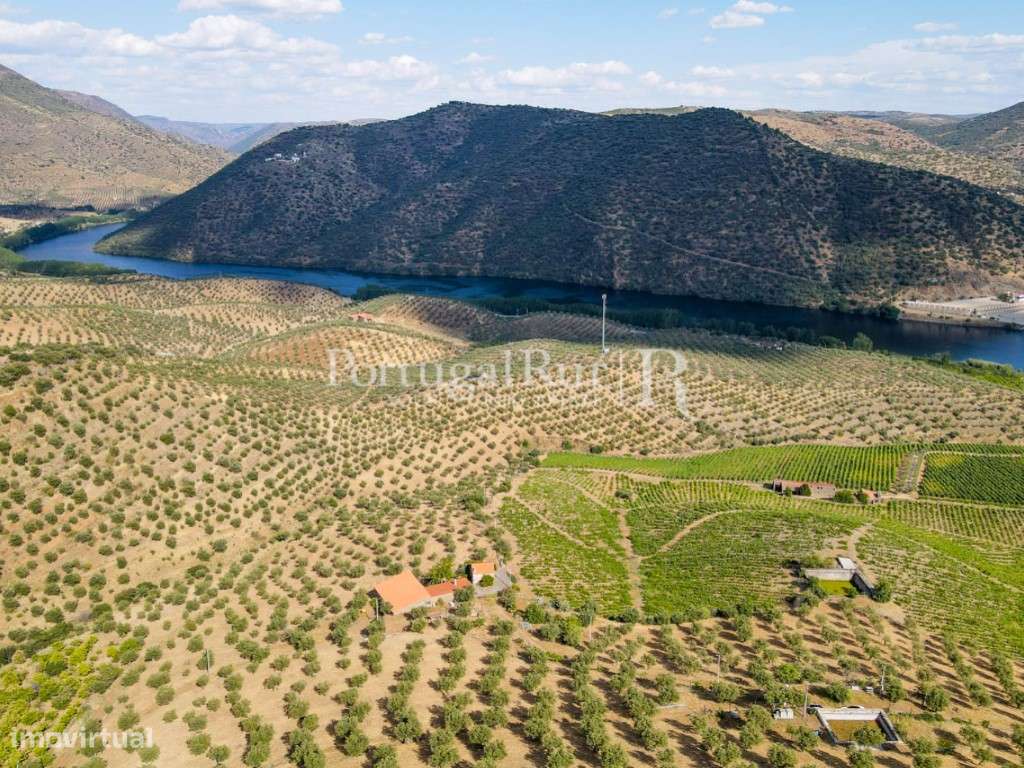 Quinta em Barca D'Alva - Douro - Grande imagem: 4/51