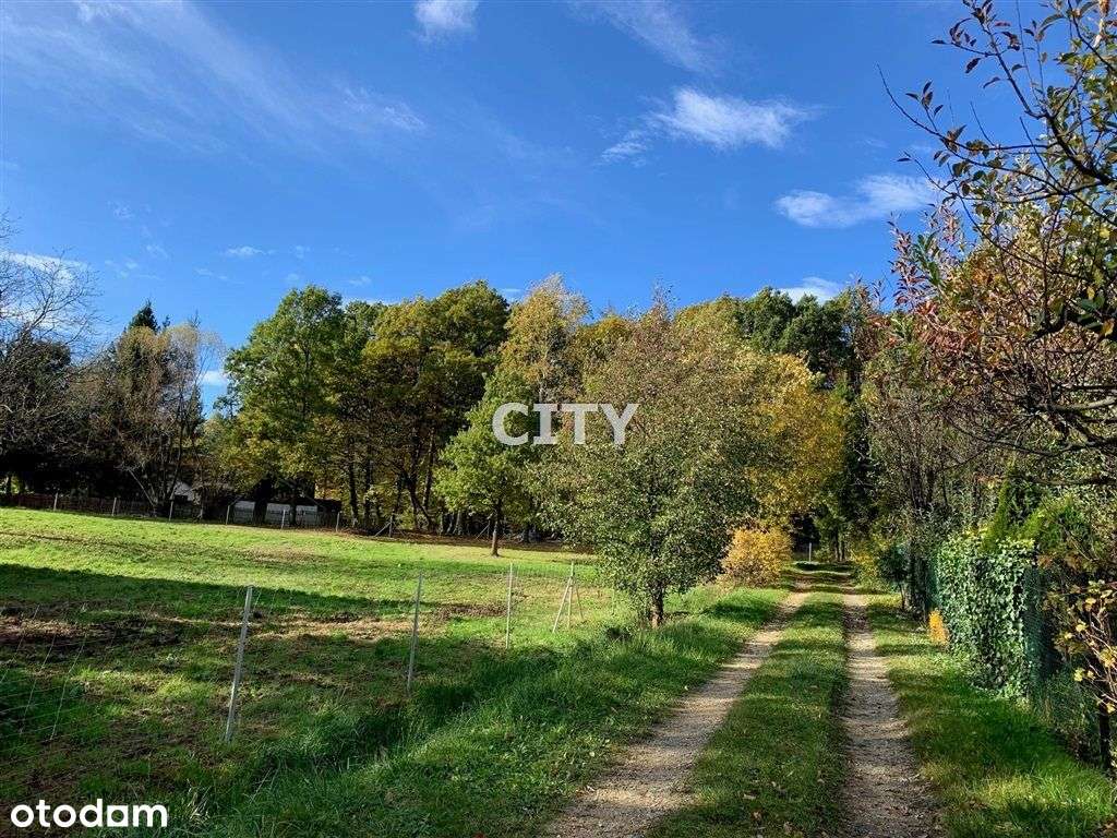 pod rezydencję, unikatowa lokalizacja, las - Pełny obrazek: 5/7